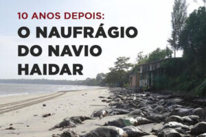 Dez anos após o naufrágio do navio Haidar, eventos debatem a exportação de animais vivos no Pará
