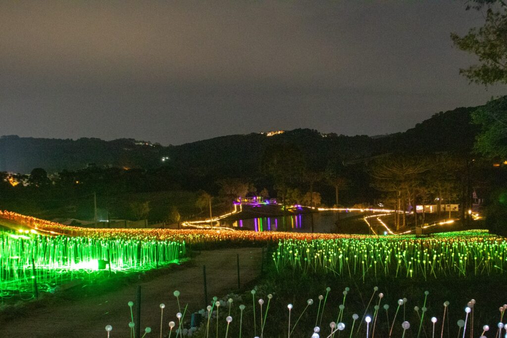 Gramado recebe o encanto da Black Friday mais iluminada da Serra Gaúcha