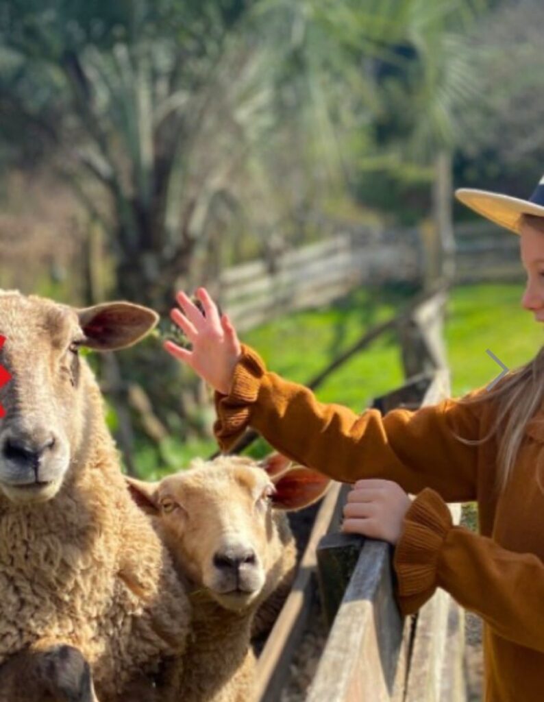 Passeio Linha Bella com almoço cantina italiana e transporte conforme agendamento