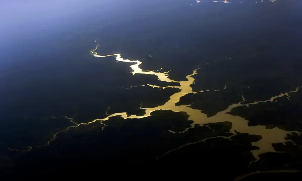 Captura de carbono na Amazônia está em risco, diz estudo