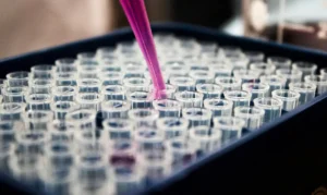 Pesquisas brasileiras avançam no diagnóstico de Alzheimer