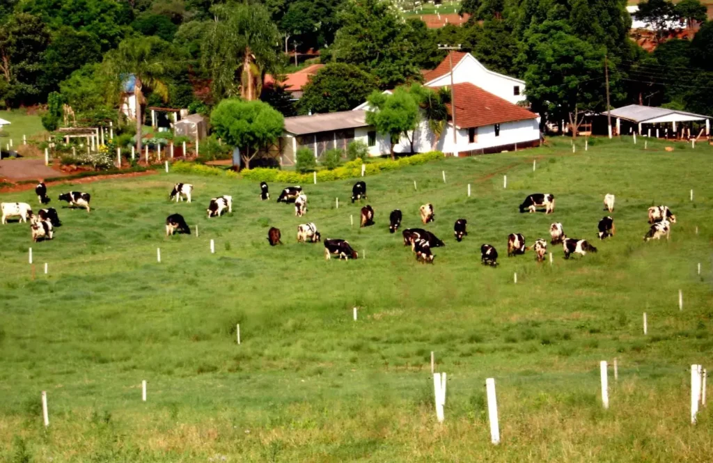 Ministério do Turismo incentiva transformação de propriedades rurais em destinos turísticos