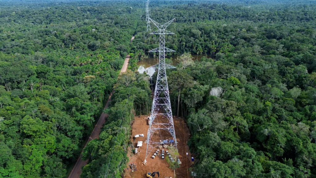 Empresas podem enfrentar até US$ 279 bilhões em perdas relacionadas ao desmatamento, aponta CDP na COP30