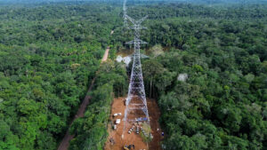 Empresas podem enfrentar até US$ 279 bilhões em perdas relacionadas ao desmatamento, aponta CDP na COP30