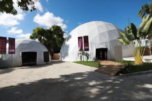 É hoje! Freezone abre as portas na Praça da Bandeira, em Belém