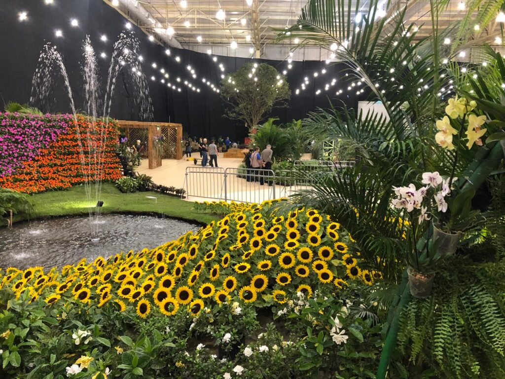 Festa das Flores de Joinville terá receptivo especial para caravanas