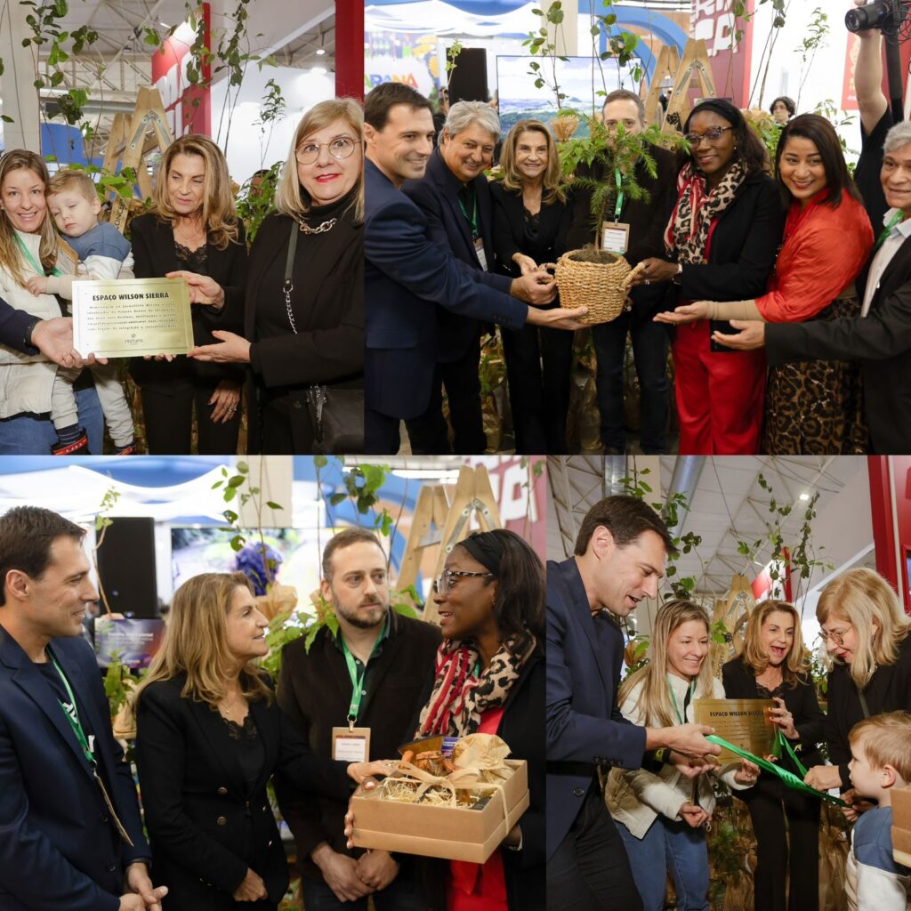 Araucária, símbolo de resiliência e força, é plantada em homenagem à Costa Rica