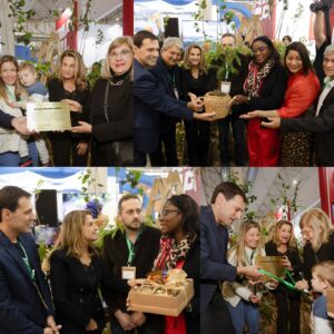 Araucária, símbolo de resiliência e força, é plantada em homenagem à Costa Rica