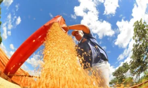 Agropecuária ajudou oito estados a crescerem mais que o Brasil em 2023