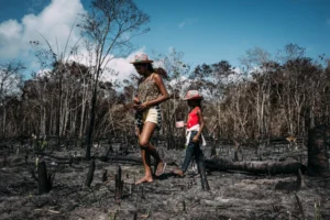 ONGs vão denunciar na COP do Povo casos de violações a direitos