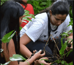 Para 65% dos brasileiros a Amazônia ainda é um mistério