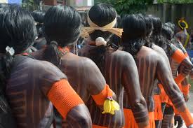 Governo e ongs garantem US$ 120 milhões para UCs com povos tradicionais na Amazônia