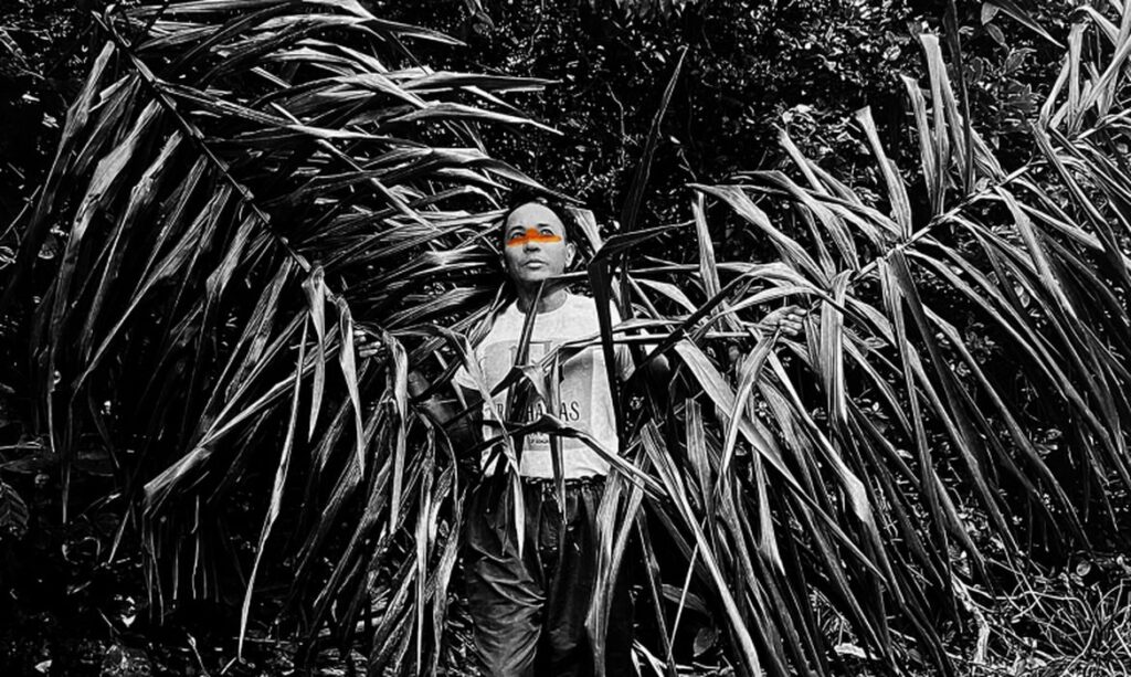 Exposição em SP propõe diálogos sobre gênero, sexualidade e natureza