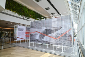 Projeto Coral Vivo e Estúdio Bijari transformam ciência em experiência sensorial na COP30