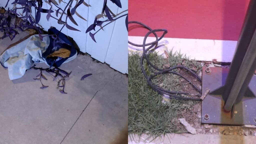 Guarda Municipal prende suspeito por furto de fiação na Tamandaré