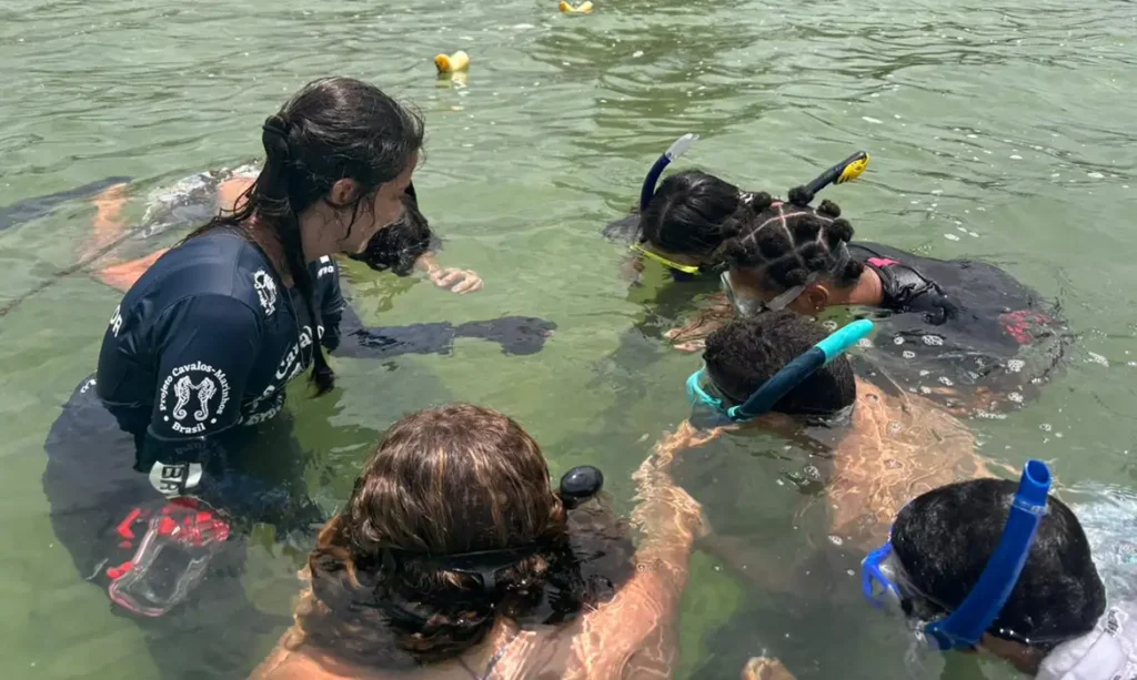 Projeto no Rio forma guardiões de cavalos-marinhos de 12 a 14 anos