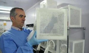 Brasileiro criador do “Aedes” que bloqueia dengue é eleito pela Nature