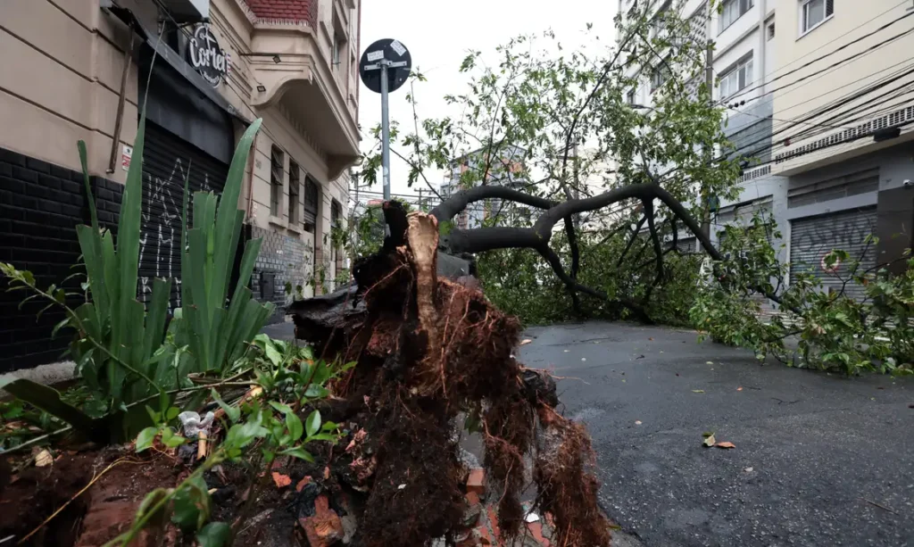 Em Embu-Guaçu, em SP, apagão deixa 61% dos moradores sem luz