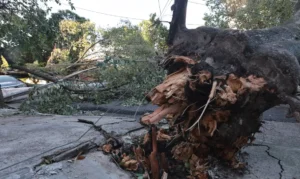 MIDR reconhece situação de emergência em 21 municípios 