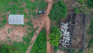 Operação em terra indígena no Pará resulta em mais um assassinato