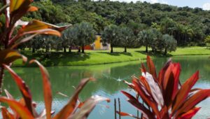 Inhotim aparece em lista do The New York Times como um dos melhores destinos do mundo para conhecer em 2026