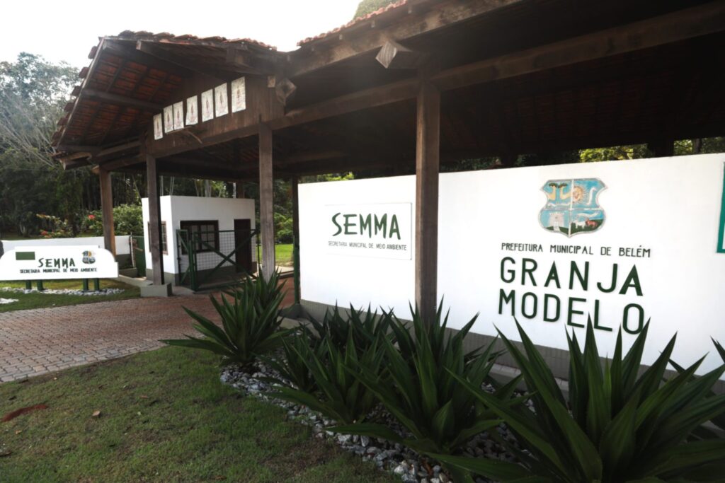 Belém supera meta de 10 mil mudas e fortalece arborização urbana