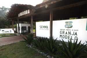 Belém supera meta de 10 mil mudas e fortalece arborização urbana