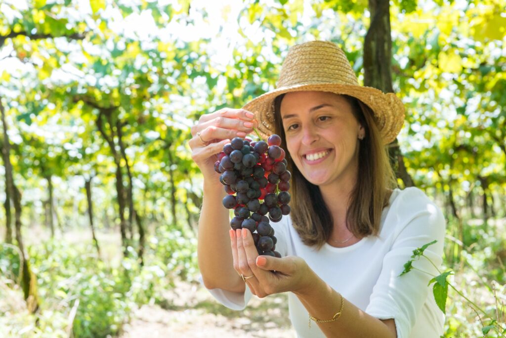 Gramado inicia a 5ª Vindima com celebração ecumênica entre vinhedos, realizada pela Gramadotur