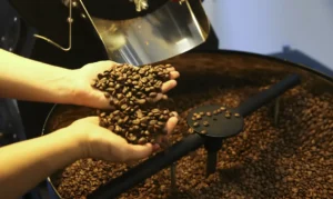 Exportação de café do Brasil cai em 2025, mas bate recorde em receita