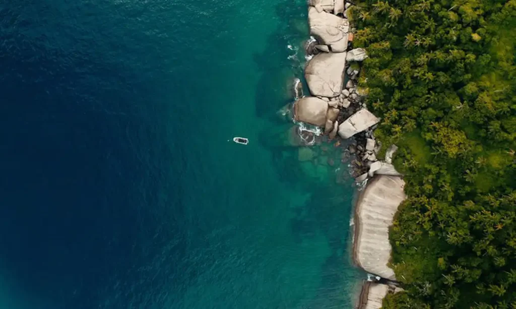 TV Brasil exibe documentário com iniciativas de preservação da costa