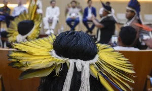 Vestibular da USP vai cobrar obras indígenas e quadrinhos