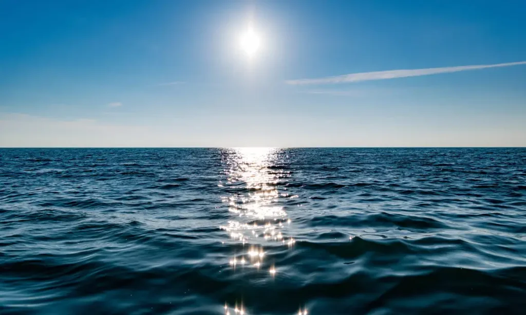 Tratado do Alto-Mar: entenda o que muda para o Brasil