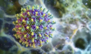 Nipah: saiba mais sobre o vírus que preocupa a Ásia