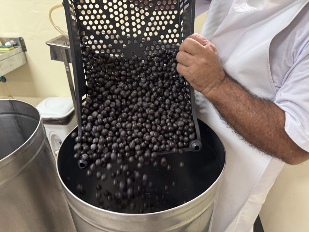 Casa do Açaí fecha janeiro com alta demanda por capacitações