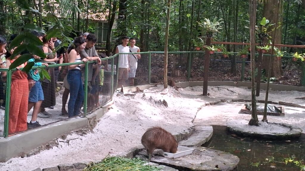 Bosque Rodrigues Alves anuncia entrada gratuita no fim de semana