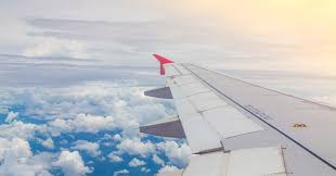 Que vergonha! O pau comeu dentro do avião.