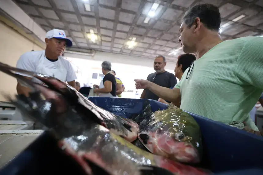 Estado publica decreto que restringe a saída do pescado in natura para garantir o abastecimento do mercado interno