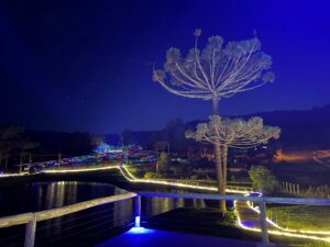 Lumni Experience promove, sábado, primeiro Luau das Estrelas em Gramado com música ao vivo e contemplação do céu