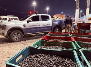 Prefeitura fiscaliza descarte irregular de açaí no Ver-o-Peso