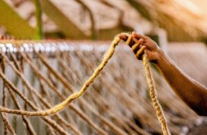 Parceria garante produção paraense da corda que será utilizada no Círio 2026