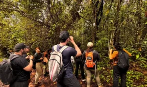 ‘Vem Passarinhar Marituba’ abre programação de 2026 e reúne observadores no Refúgio Metrópole da Amazônia