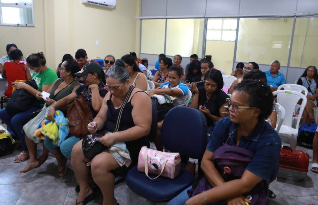 Prefeitura de Belém promove castração gratuita de gatos