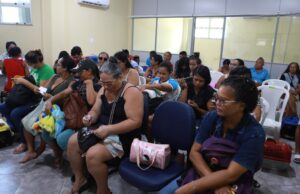 Prefeitura de Belém promove castração gratuita de gatos