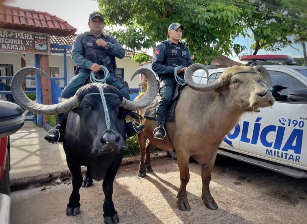 Segup intensifica segurança no Marajó com mais de 200 agentes durante a Semana Santa