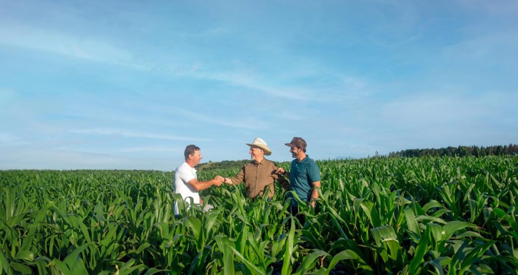 Liberados R$ 48,3 bilhões nos primeiros oito meses da Safra 2025/2026