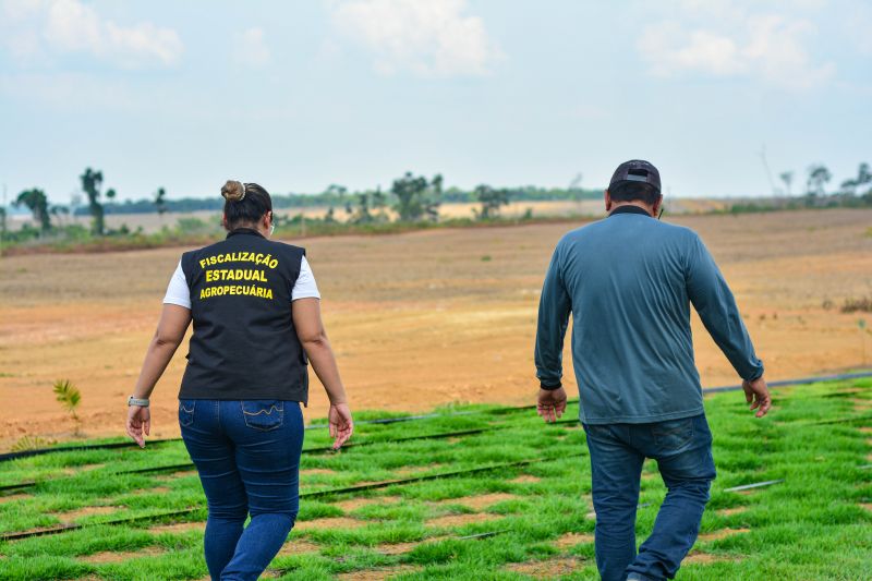 Novo PSS da Adepará oferta 16 vagas para contratação temporária no Pará