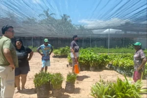 Parceria entre escritórios regionais do Ideflor-Bio fomenta produção sustentável no Pará