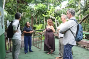 Comitiva da União Europeia tem experiência imersiva em bioeconomia na Ilha do Combu
