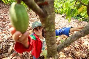 Governo do Pará lança SICAR+ para modernizar a gestão ambiental e agilizar a regularização rural