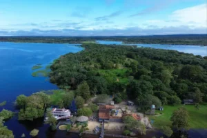 No Dia Internacional da Biodiversidade, governo do Pará impulsiona políticas públicas que unem proteção ambiental e geração de renda